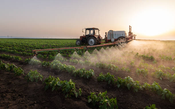 Bird Control in Lathrop, CA